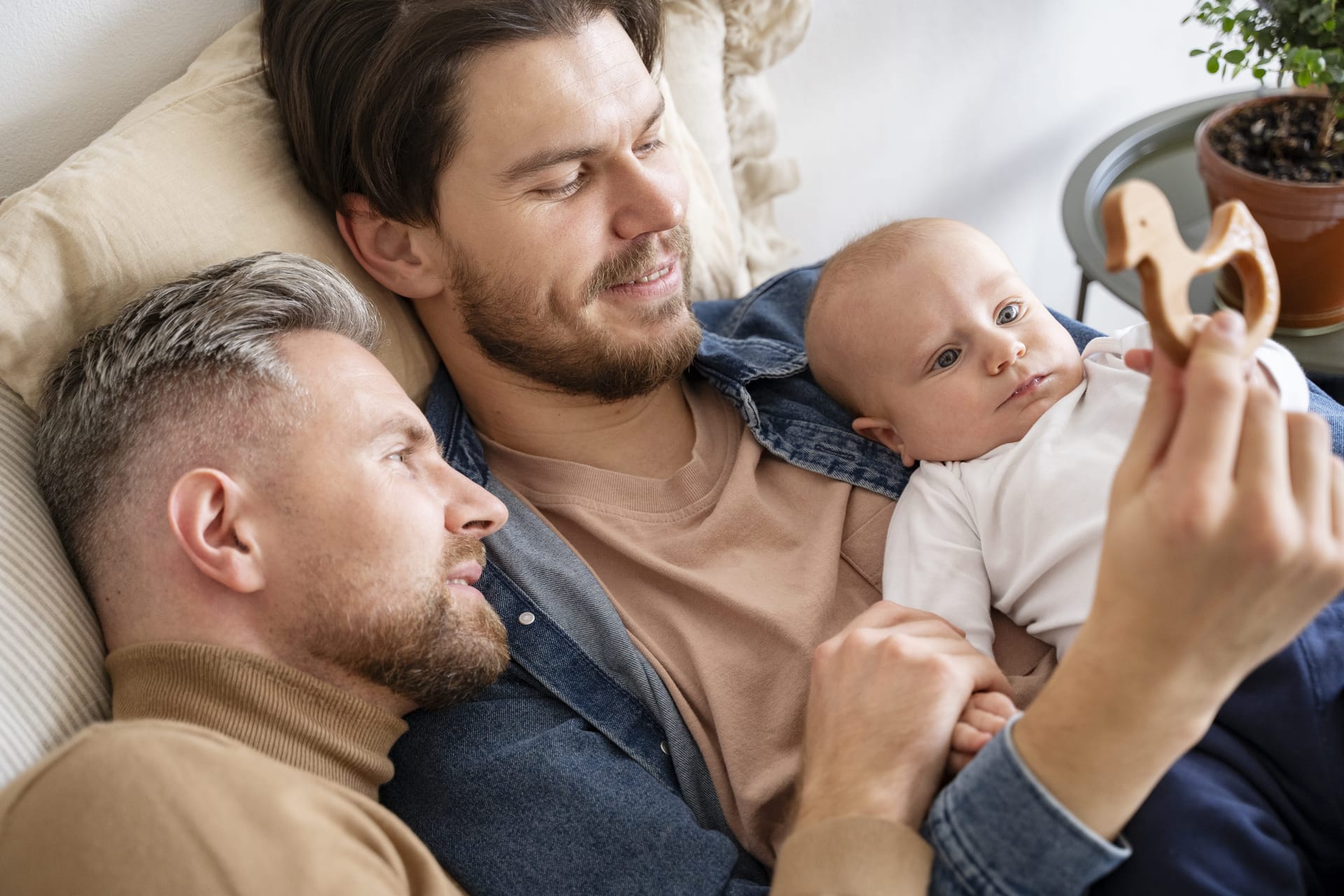 Finalização do processo legal de gestação de substituição